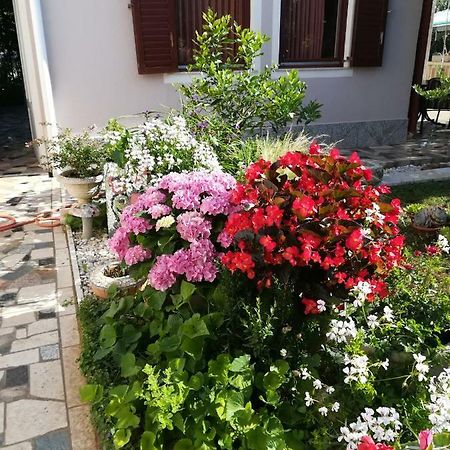 Holiday Home Nadia Πούλα Εξωτερικό φωτογραφία